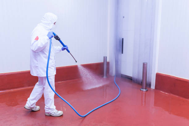 Best Warehouse Cleaning  in Stromsburg, NE